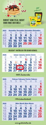 Quadro Light 4, Deutsch hellblau/rot