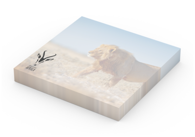 Basic 72 × 72 Bestseller